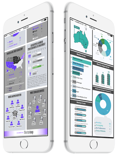 measure mentoring program