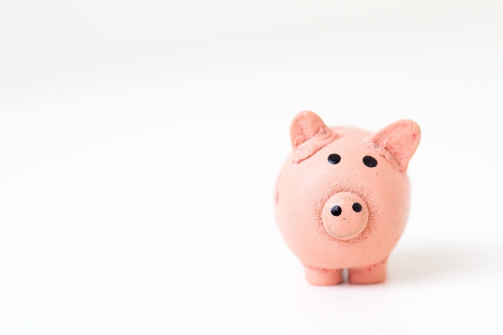 purchasing mentoring software