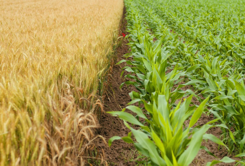Boosting employee engagement growth