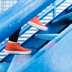 highly effective mentor